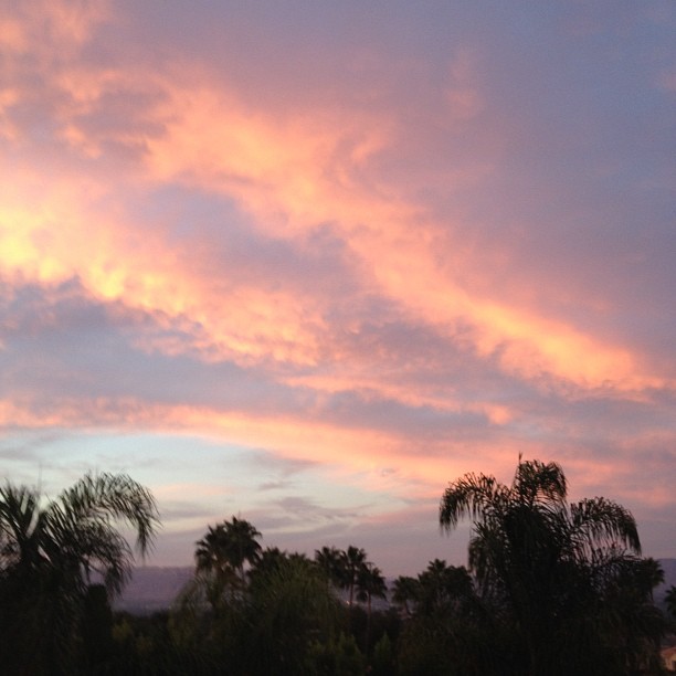 No filter. Just pink clouds...