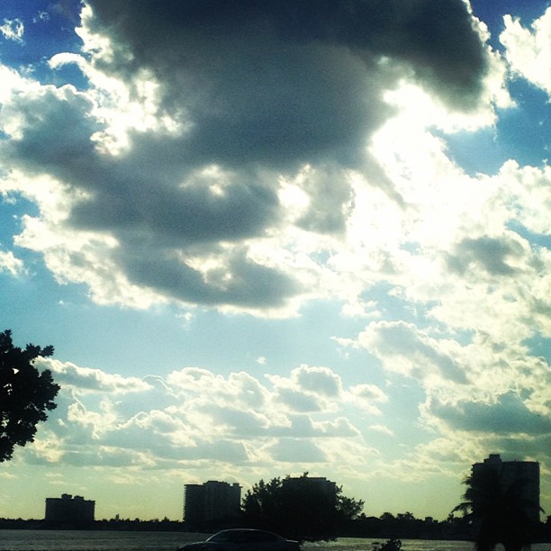 Such a beautiful day in Miami...
