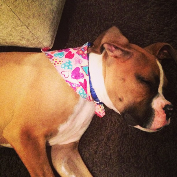 Hehe I wonder how Lamar is going to feel about the pink  bandana I put on BHop  ...