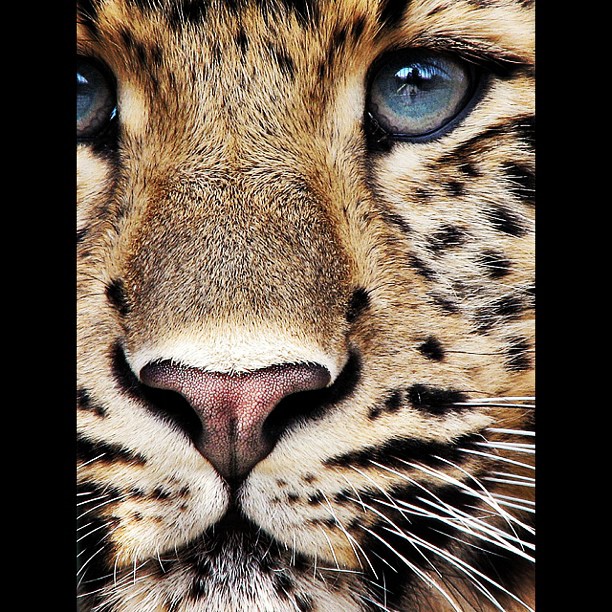 My eyes speak louder than my voice ever will....