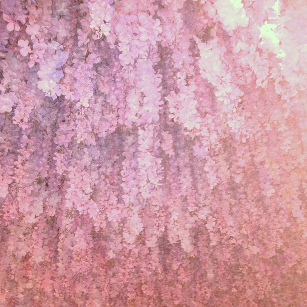 Purple rain...