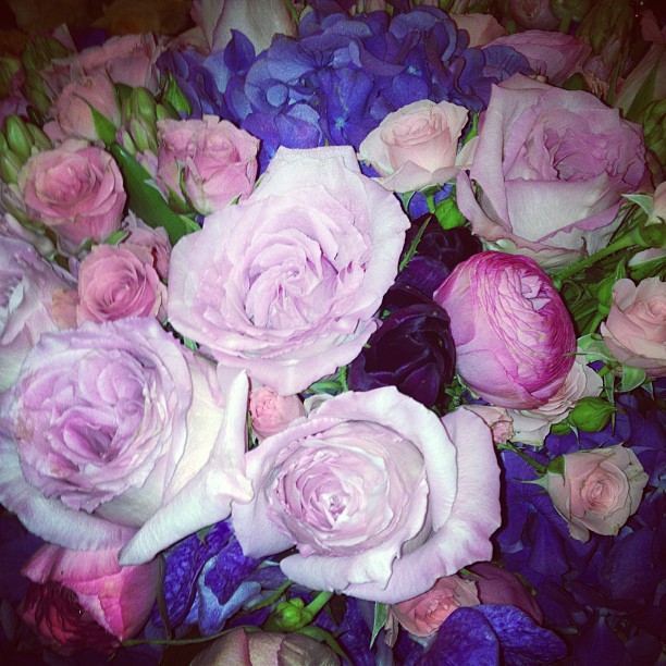 Thank you @jeffandrewsdsgn for these stunning flowers #PurpleRain...
