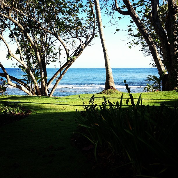 Paradise...