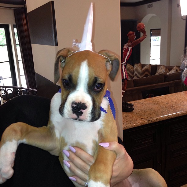 Khloe got herself a unicorn...