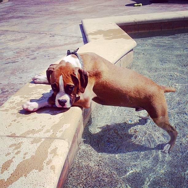 I love this little face! ...