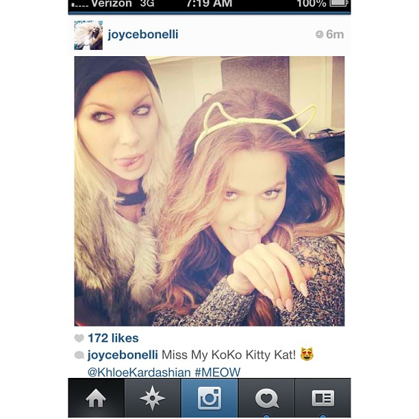 I miss my glamour puss @joycebonelli #Purrrrrr...