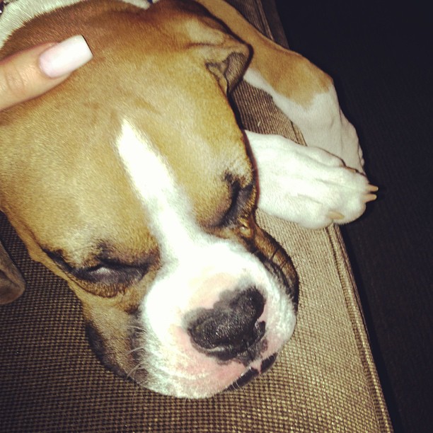 My little muffin!!...