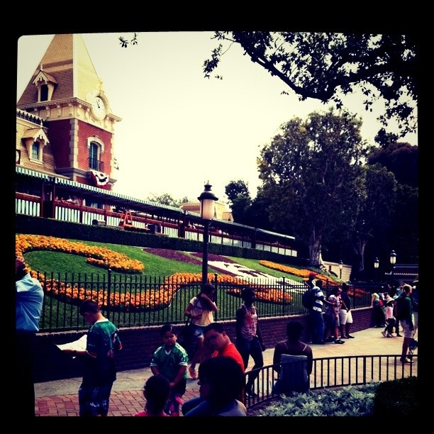 Disneyland!...