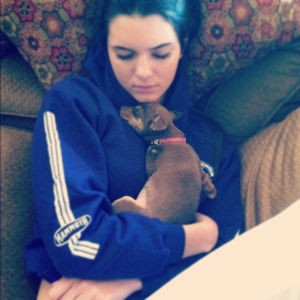 Fell asleep with my friends little puppy, she's adorable ...