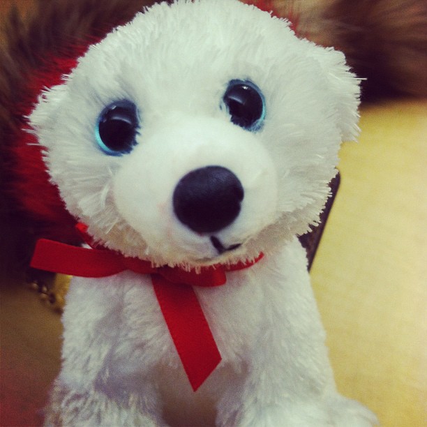Little cotton! ...