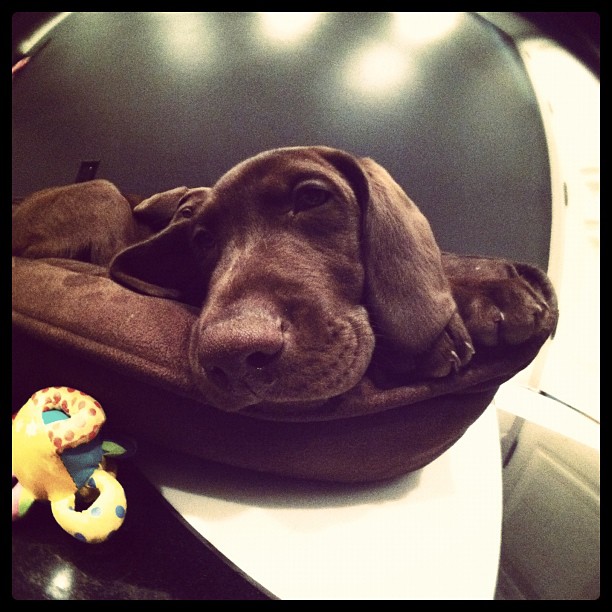 Tired little baby ...