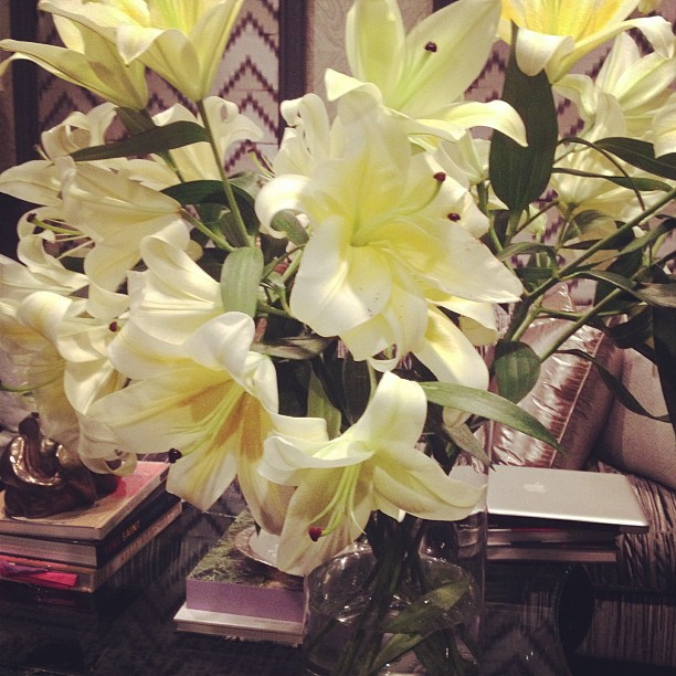 Flower Bomb...