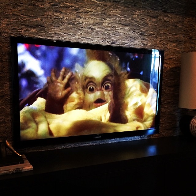 The Grinch time of year! ...
