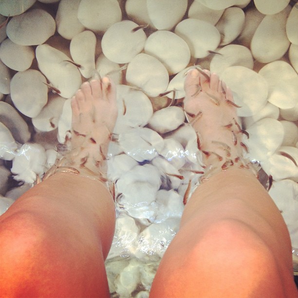 Fishy feet!...