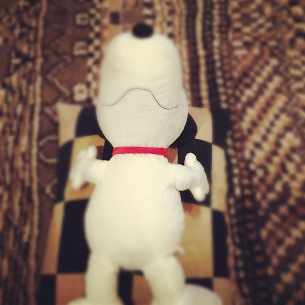 Snoopy is sleeping. @joycebonelli in case u were wondering....