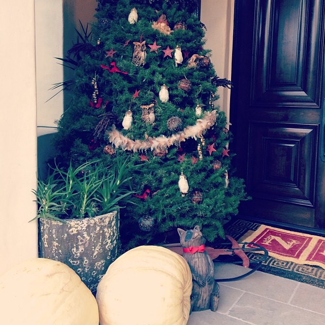 Thanksgiving tree !...