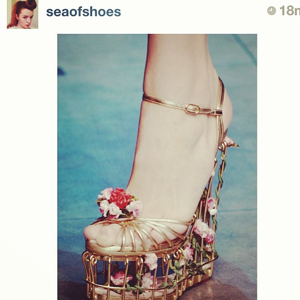 Stole this post from @seaofshoes! It was too good. #dolceandgabbana...
