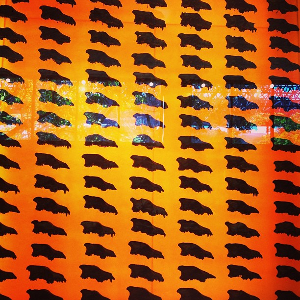 Wolf skulls! Museum day. Tar pits with @lexiemess...