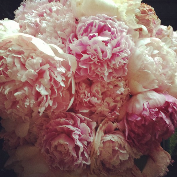 A little bit of beauty goes a long way...