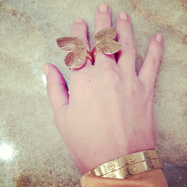 Butterfly!...