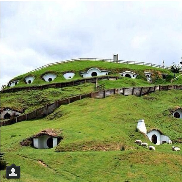 I need to go here!...