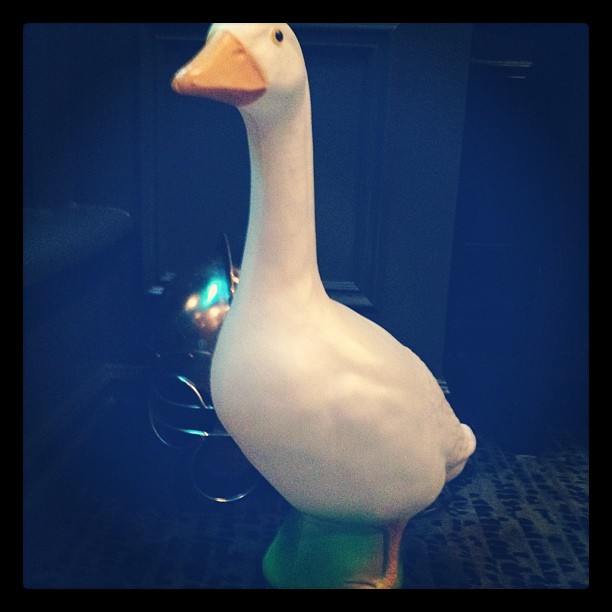 Duck duck goose...