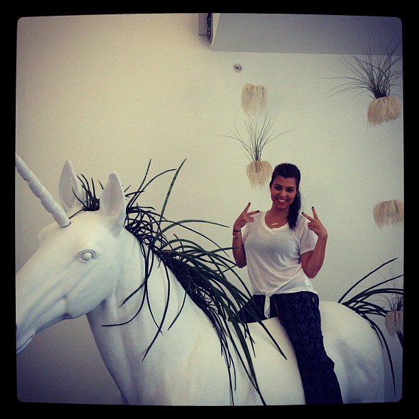 My new pet...