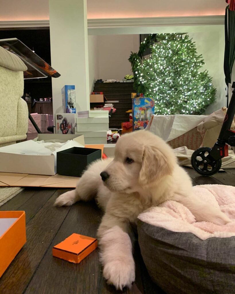 But what should we name her?...