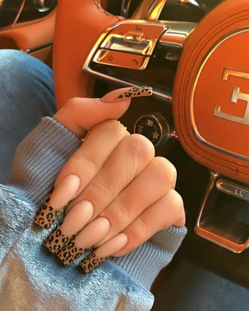 leopard french ...
