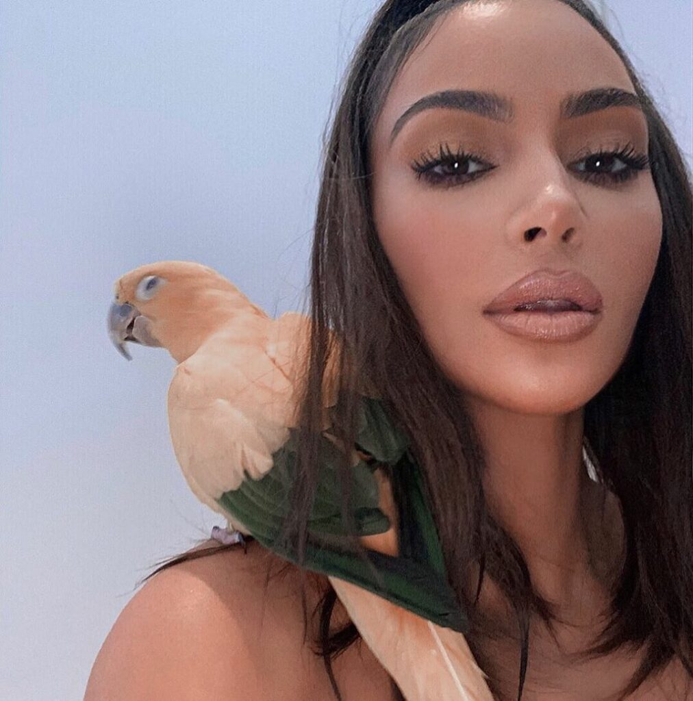 Tweet Tweet...