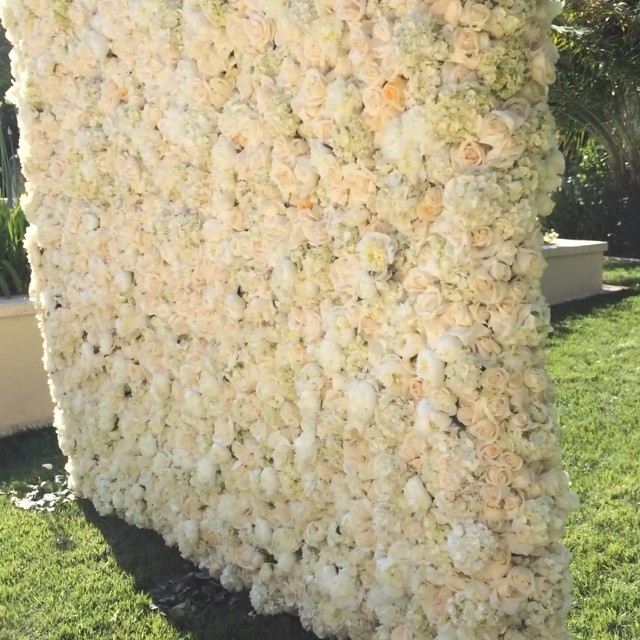 You have to see this 3 dimensionally! Best 1st Mothers Day ever!!!...