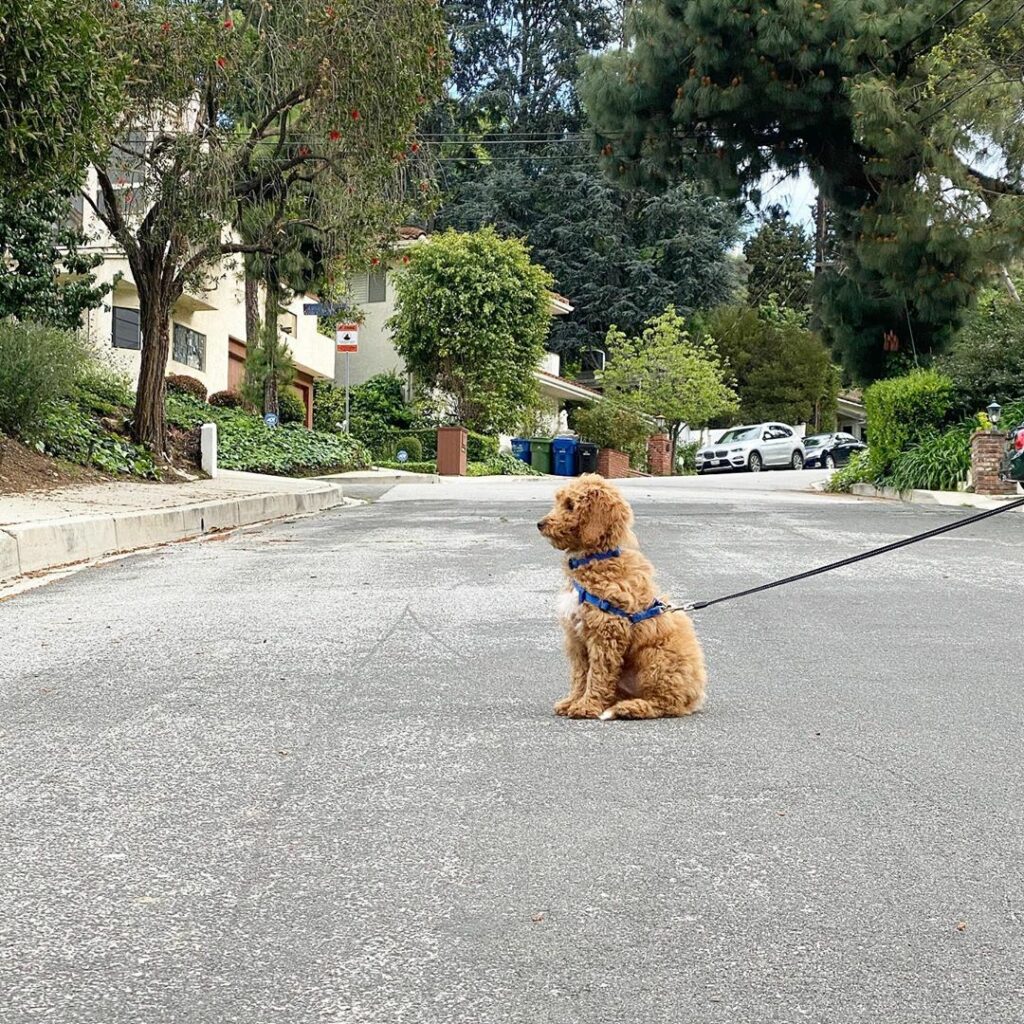 stay tuned for this...