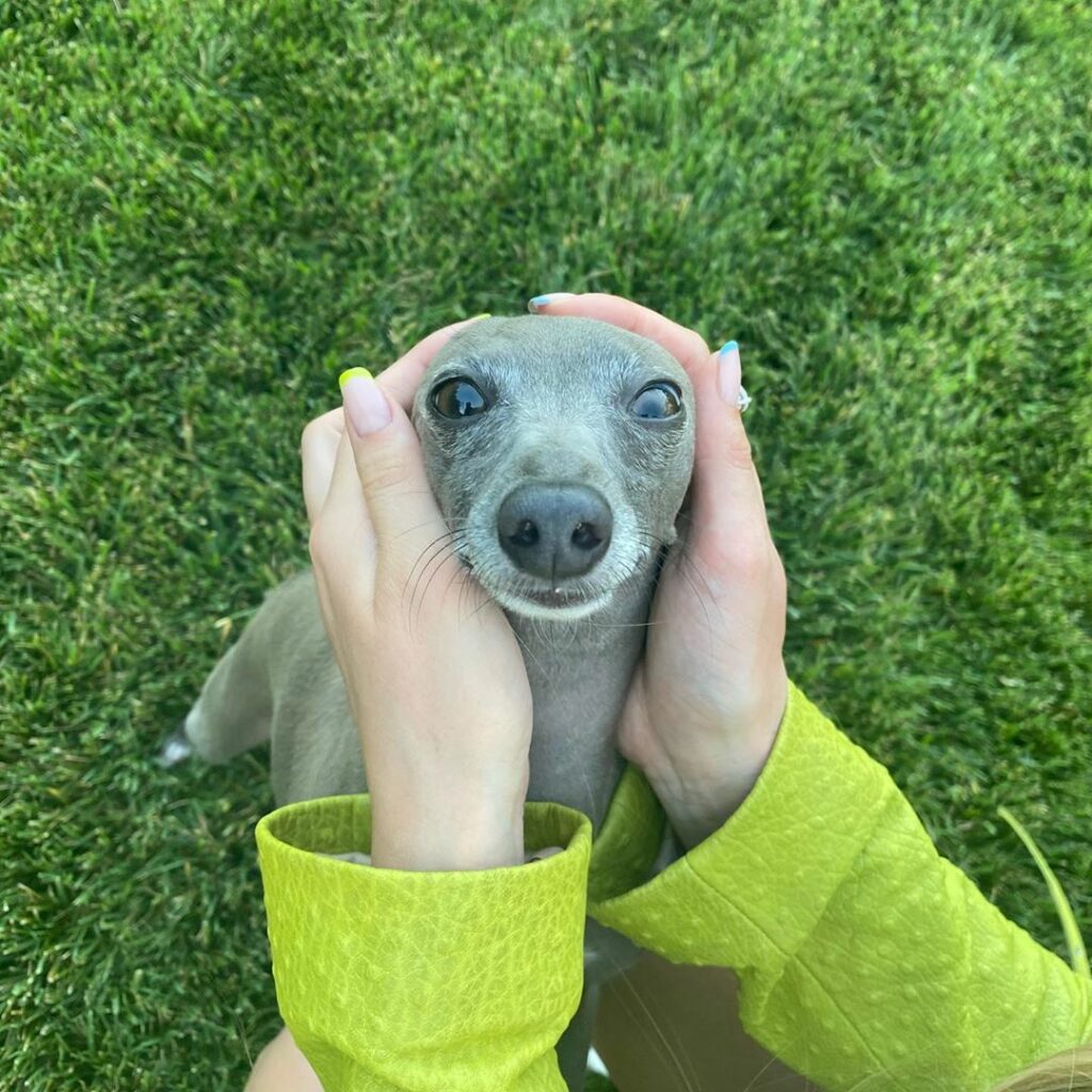 this face gets me every time...