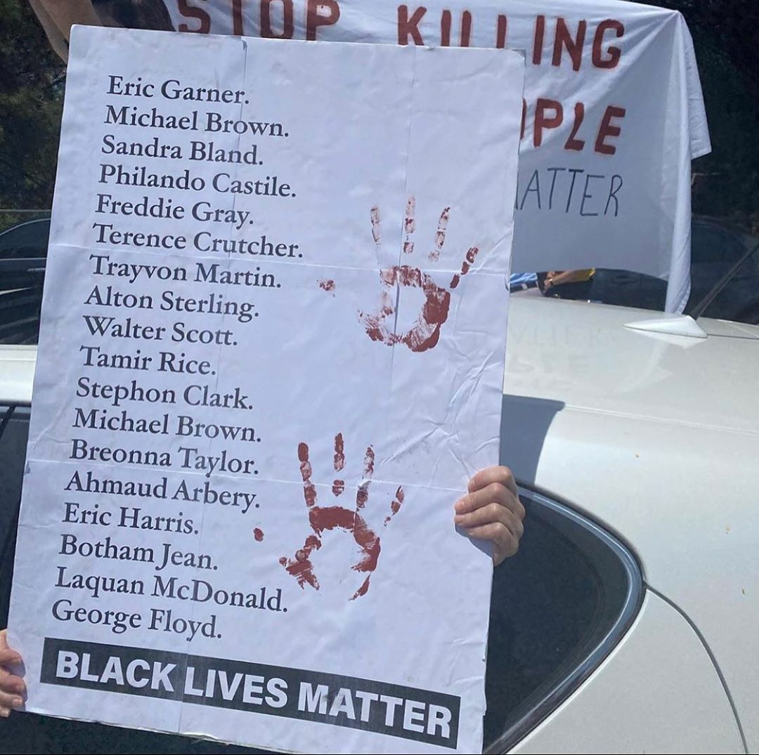 Dove Cameron petition links, protestor resources, donation links