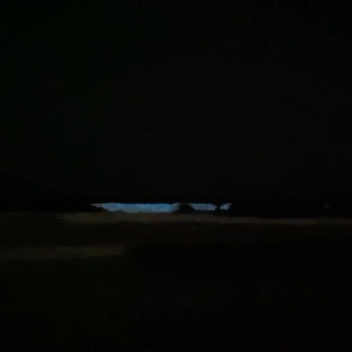 bioluminescent...