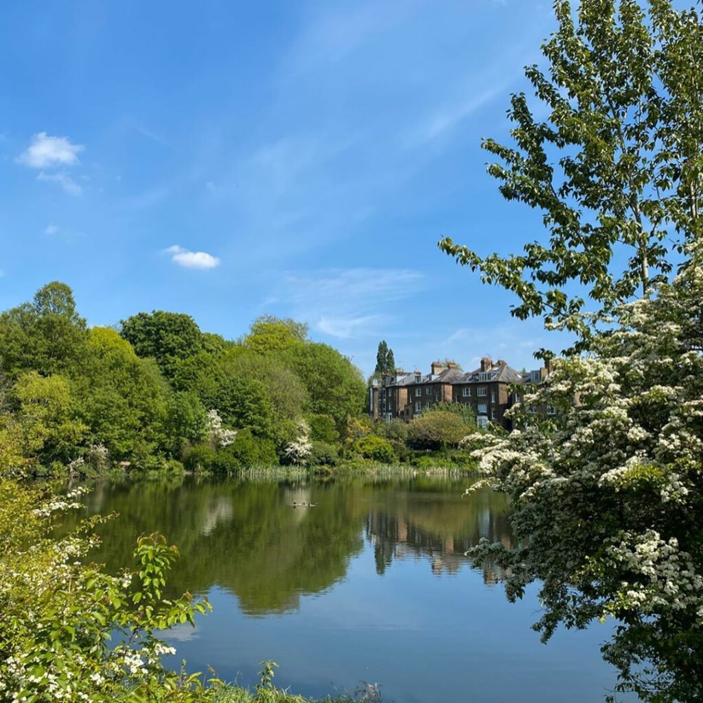 walks on the heath, daisy chains, finally warm enough to wear my @pepejeans crop...