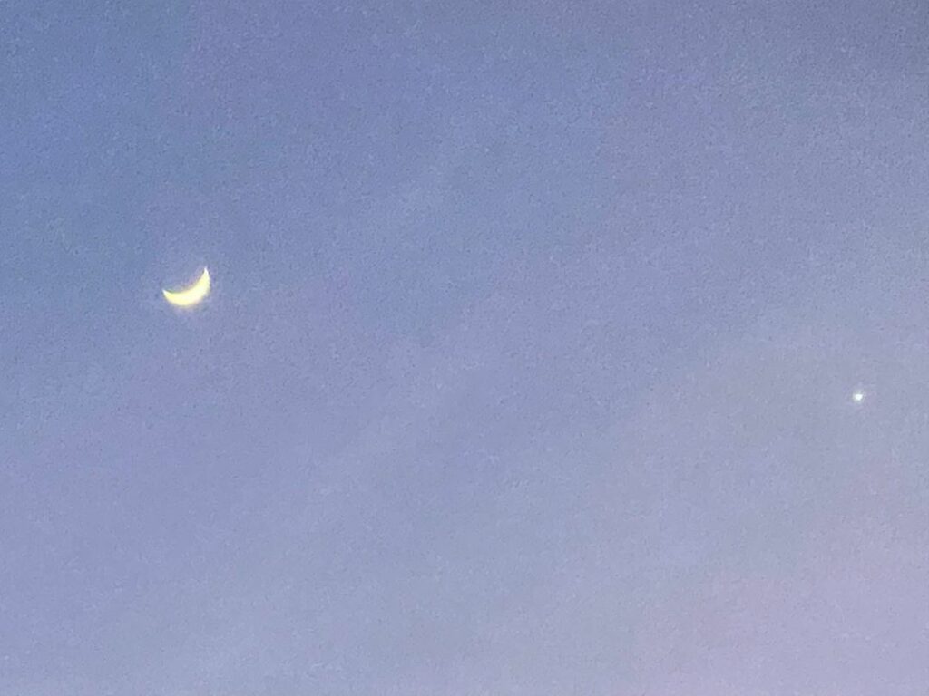 “judgment is the illusion of knowing.”...