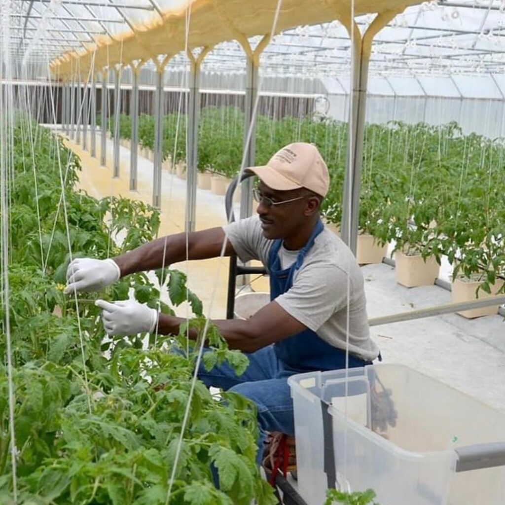 Black churches are the largest body of Black-owned land in America. The Black Ch...