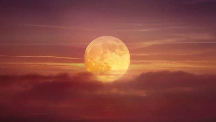 LEVITATING REMIXED BY @theblessedmadonna FEATURING @missymisdemeanorelliott & @m...