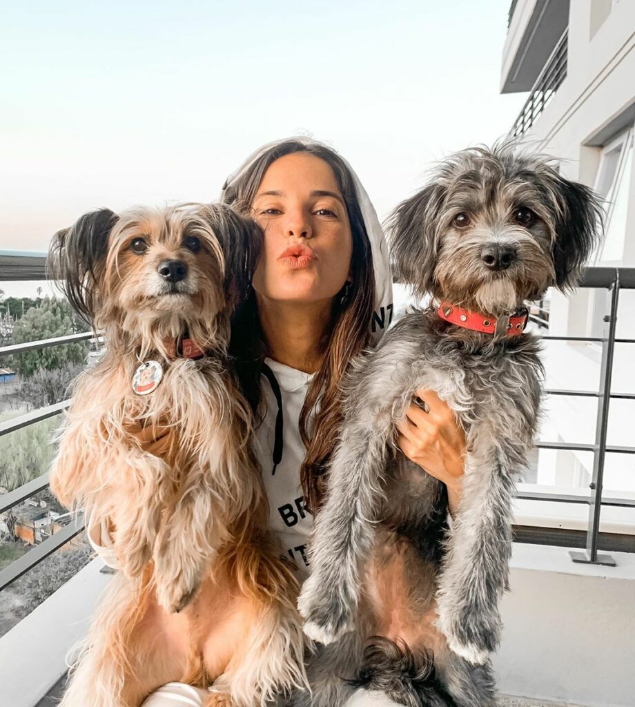 Mis bebés !  @almendralareina y Chewie  Domingo de amor perruno  Feliz domingo!!...