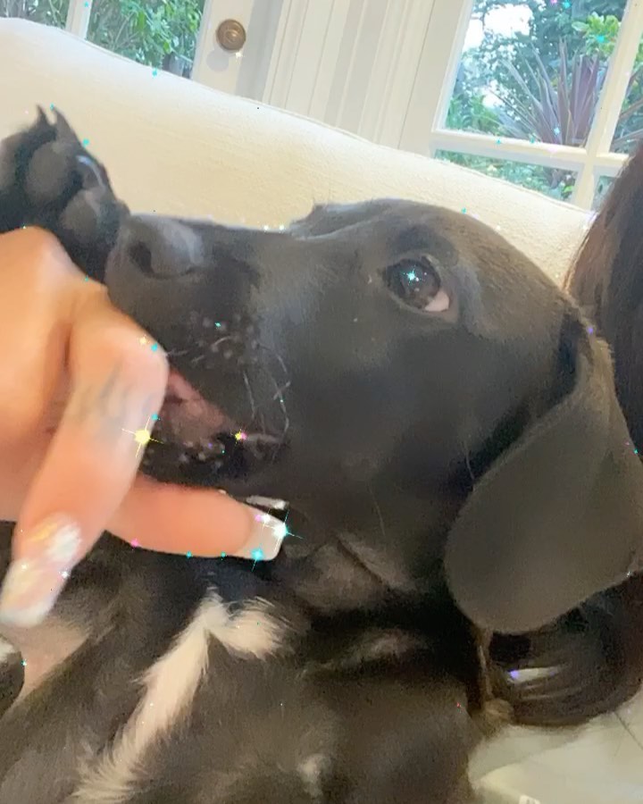 missing my bffs  @anwarspc...