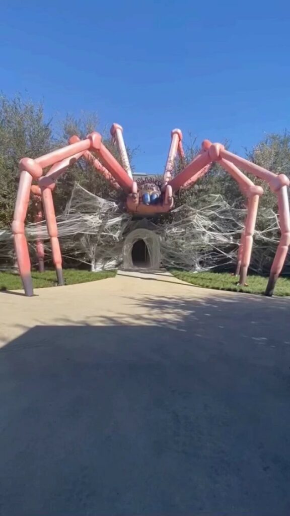 Halloween 2020  Go to my reels to see the full walkthrough of our home for Hall...