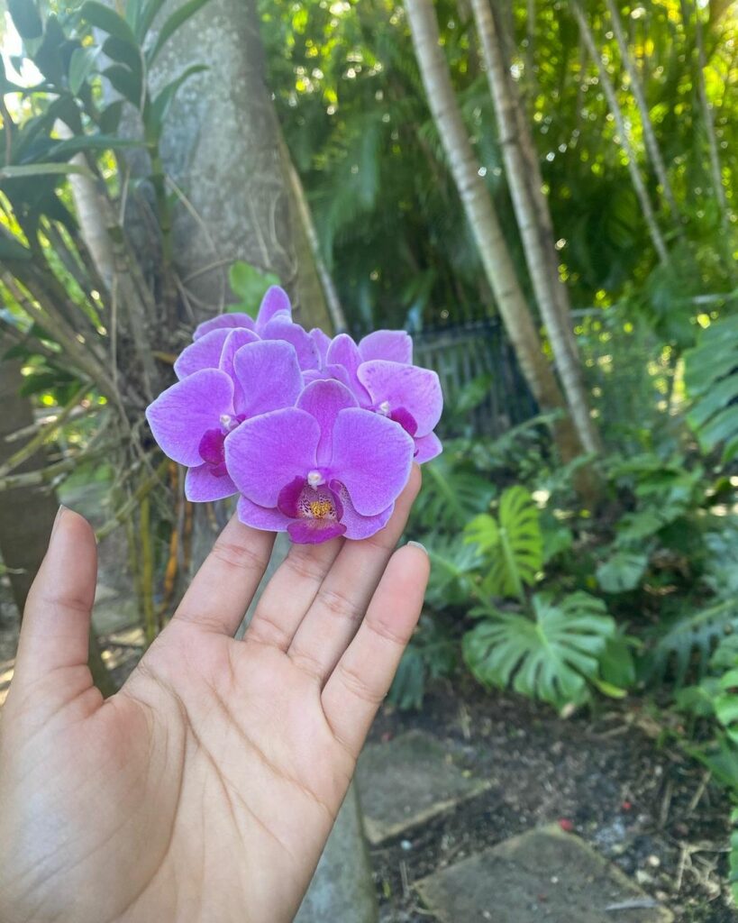 This is me copying @shawnmendes ‘s photo journals but better...