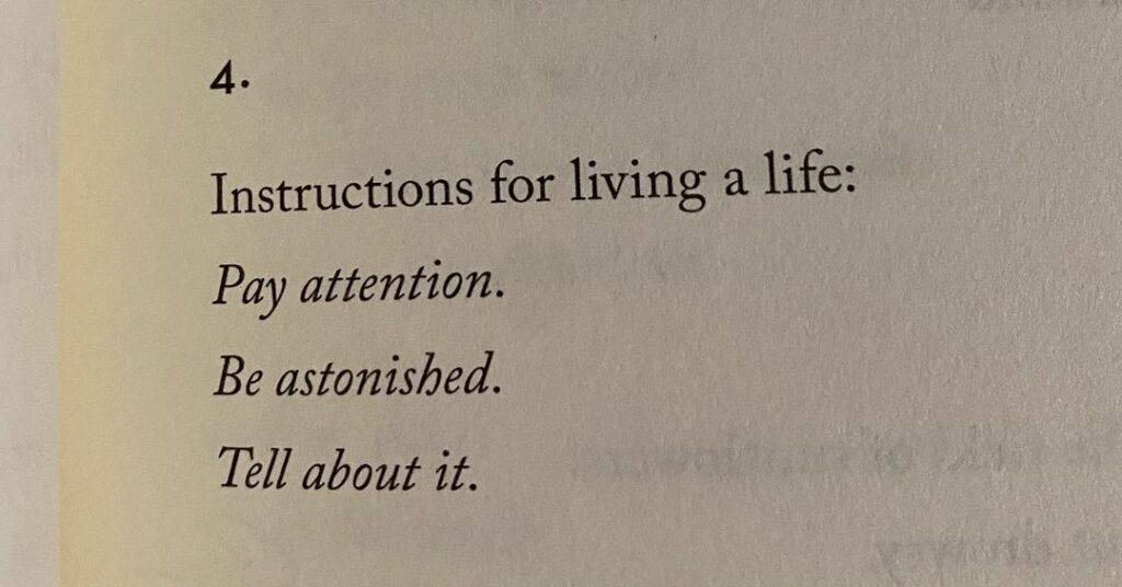 thank you Mary Oliver...
