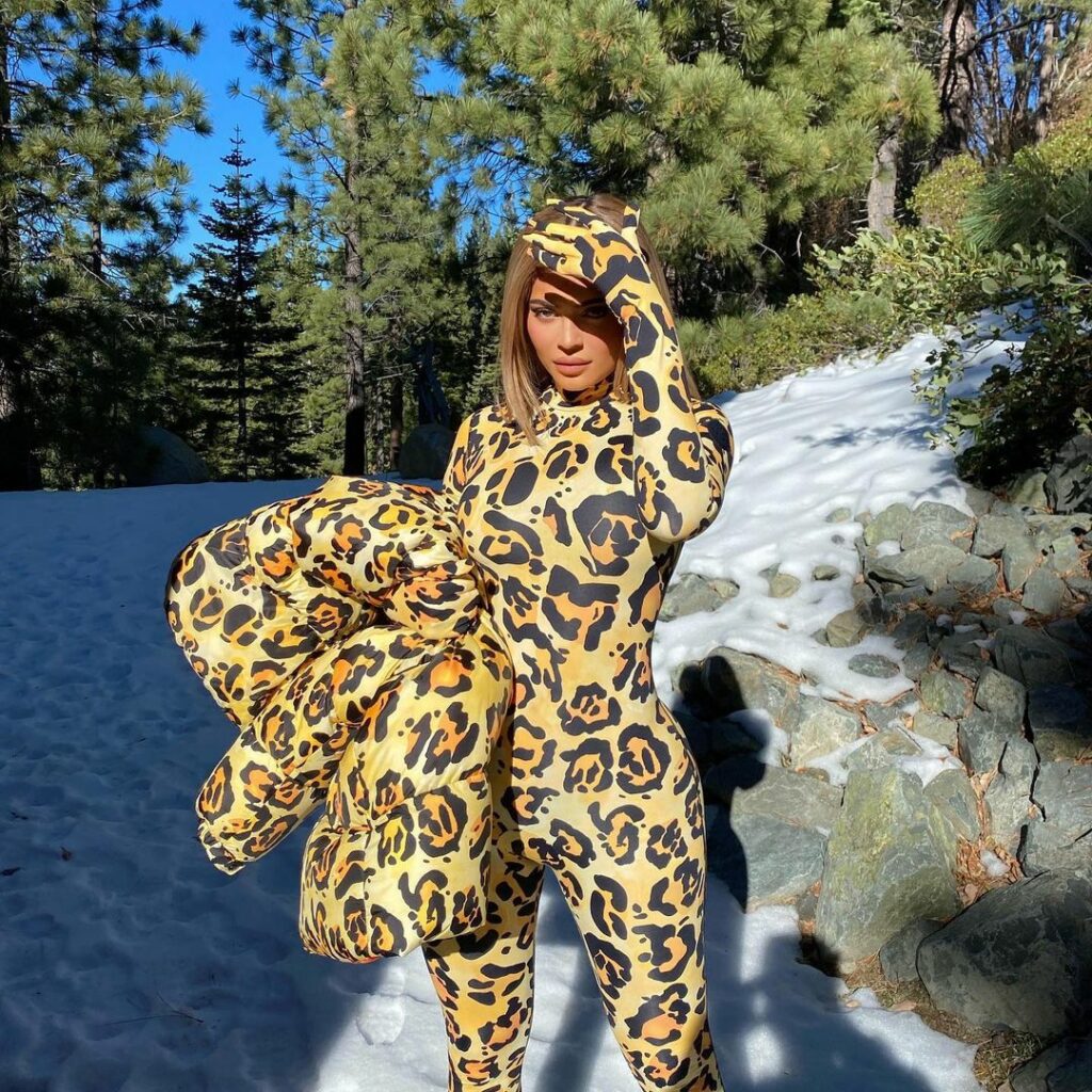 snow leopard ...