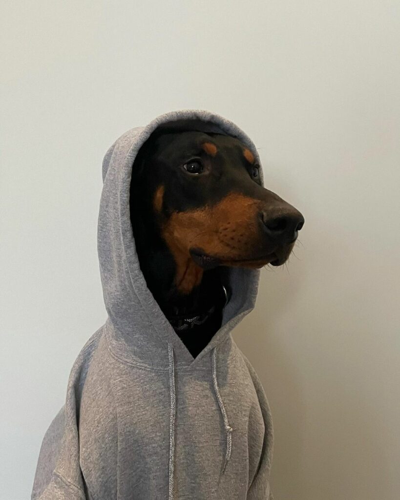 hiii...