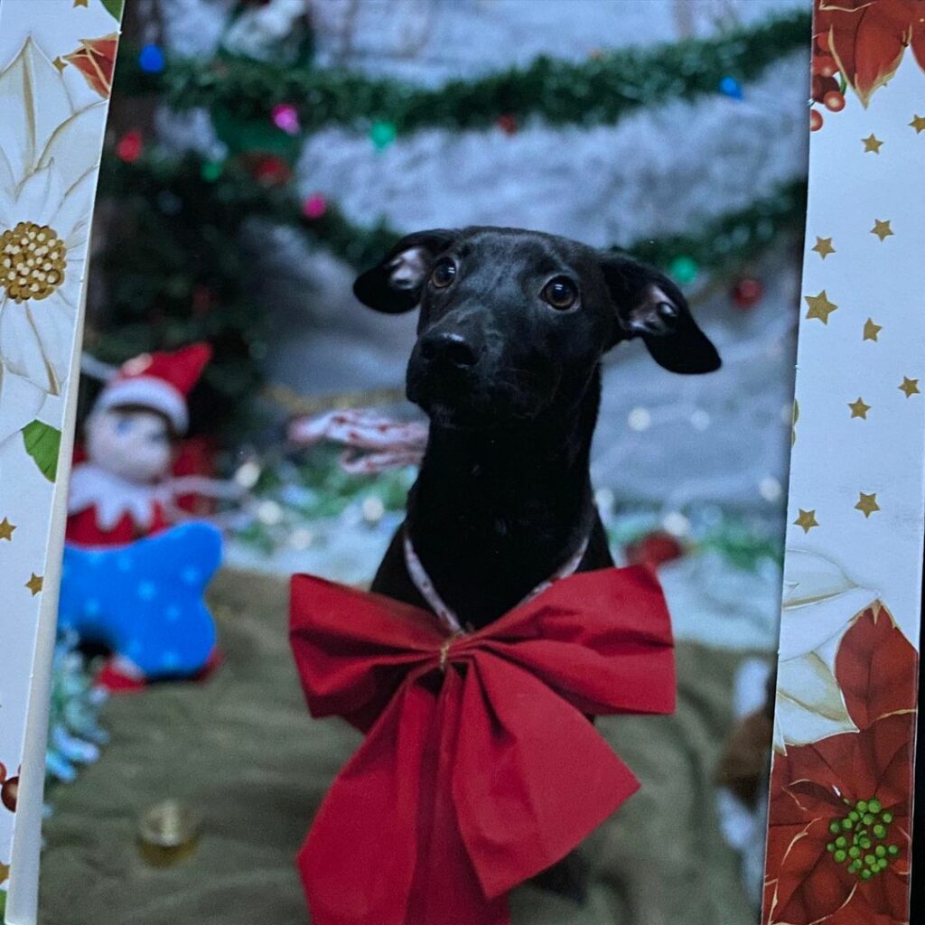 The holidays aren’t always happy for everyone and especially during this difficu...