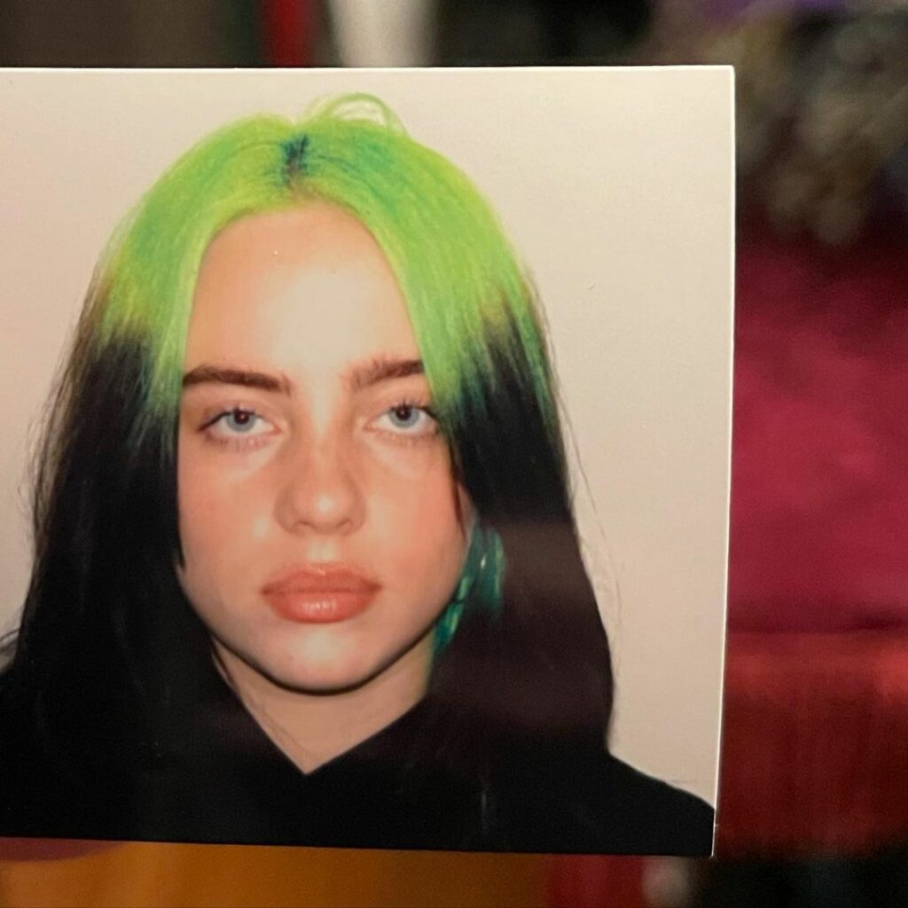 Billie Eilish: i’d lick the grief right off your lips. 