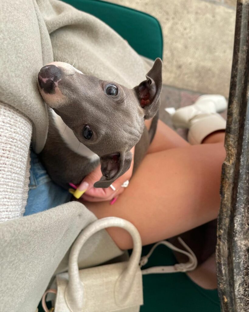 those puppy eyes...