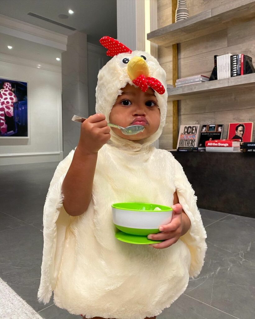 is that a chiiiiicken ?...